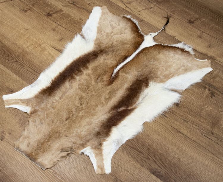 Teppiche: 2 Springbock- Felle aus Namibia – Gebraucht aus Bonaduz von Malves10