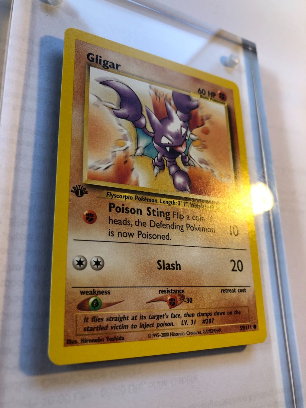 Carte collezionabili: Gligar 1st Neo Genesis - MINT - ab 1.- – Usato da Giubiasco venduto da dan_pr8b 1