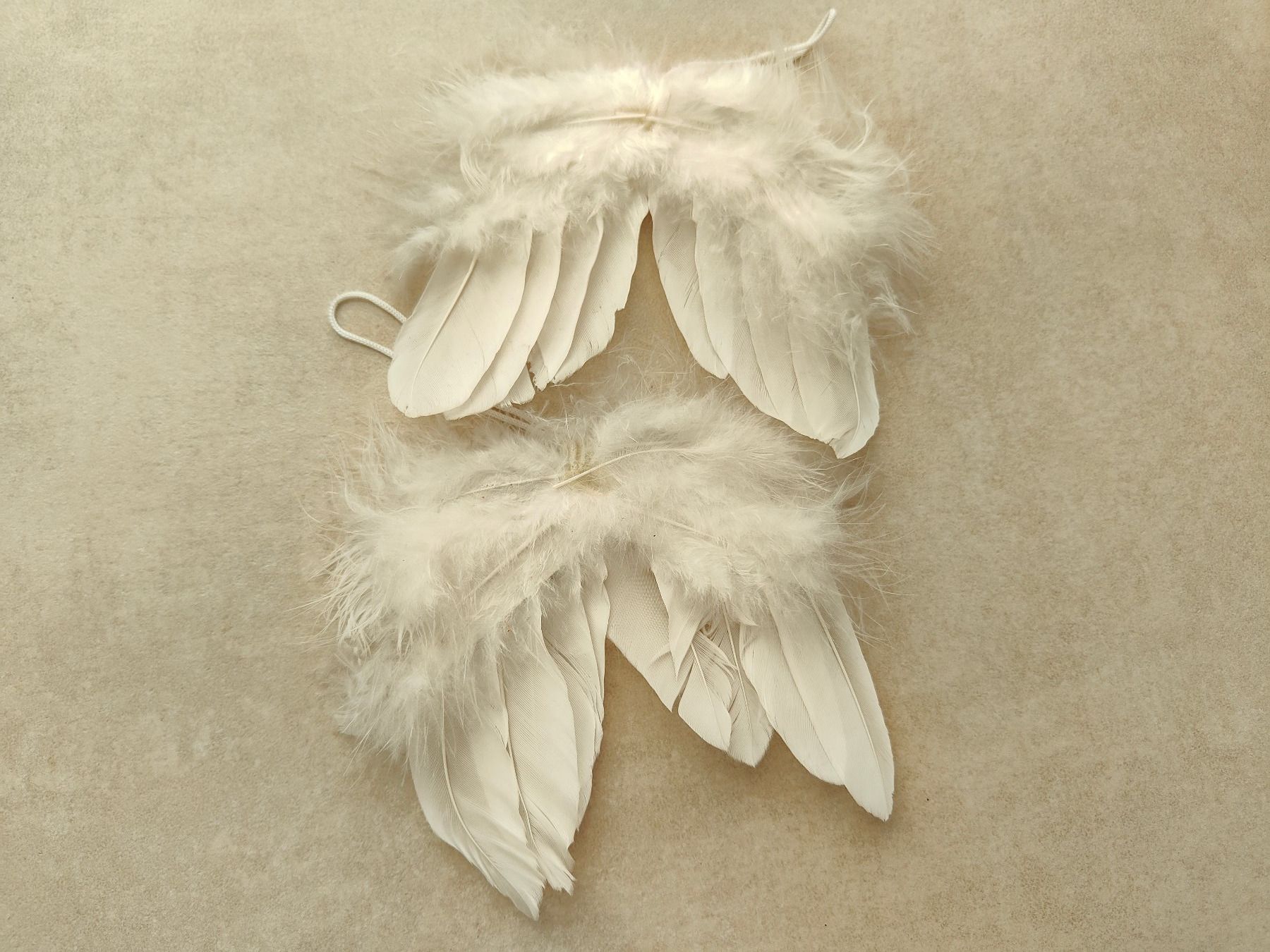 Toutes les décorations: 2x Dekoflügel weiss – Neuf (Voir description) à Rickenbach b. Wil par Beautiful.Things 4