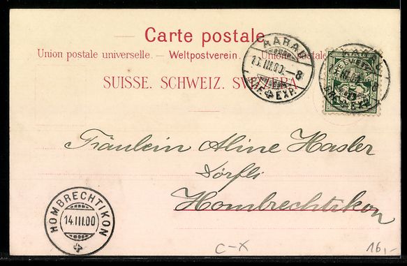 Cartoline postali: Litho Aarau, Zschkke-Denkmal, Ortsansich – Usato da Berlin venduto da bartko-reher 1