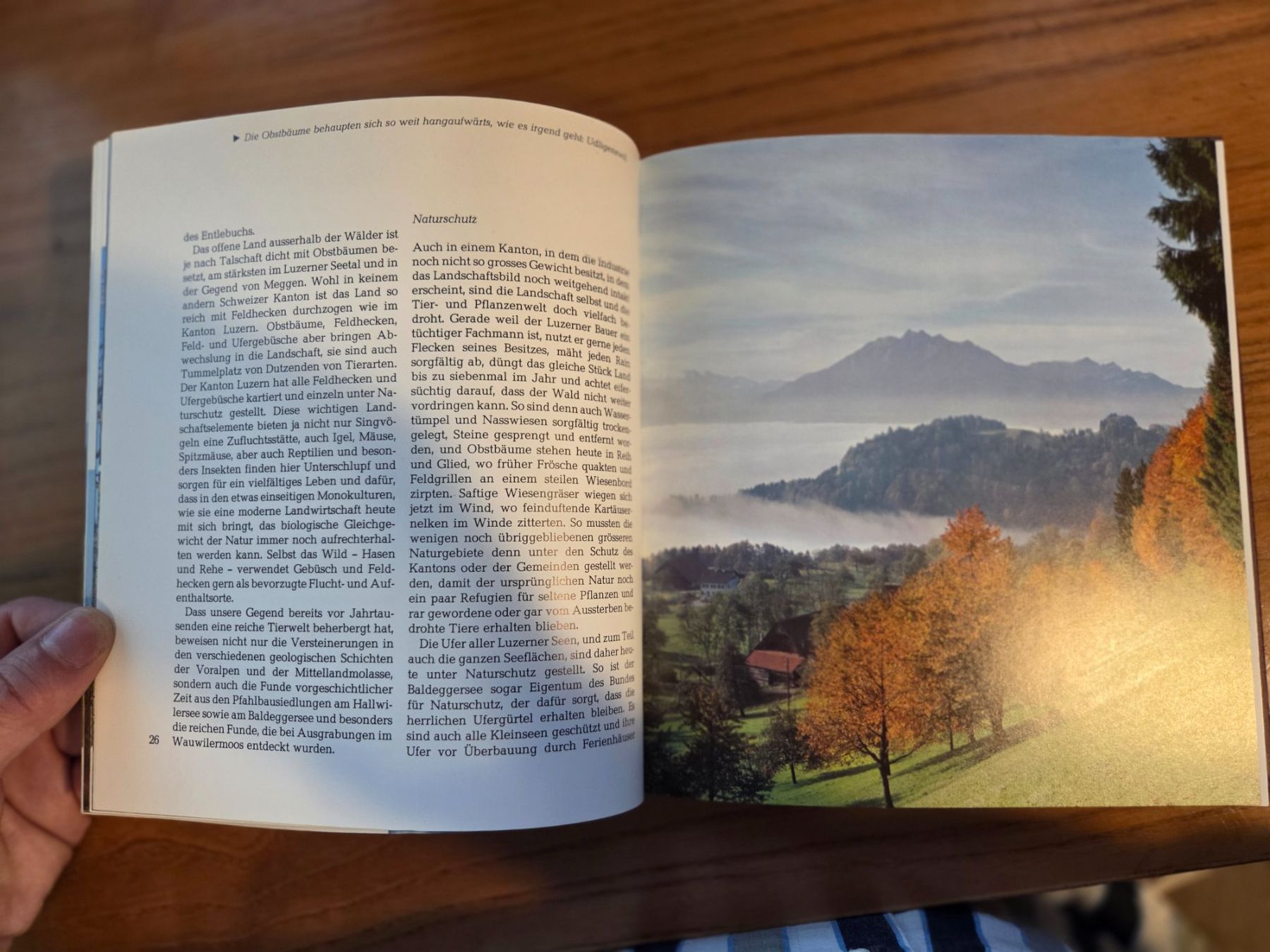 Bücher: Schweizer Kantone Luzern, Avanti 1975 – Gebraucht aus Aldesago von lusuardi 6