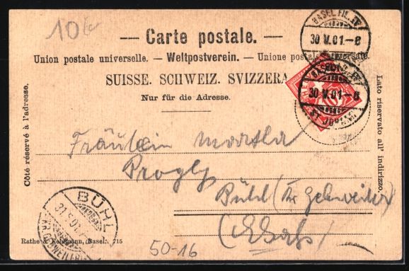Cartoline postali: Basel, Eulenburg im Zoologischen Garten, – Usato da Berlin venduto da bartko-reher 1