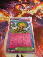 Prachtbaum (SCR 136) / Stellarkrone