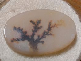 Ovaler Dendritenachat mit hübschem Baummotiv