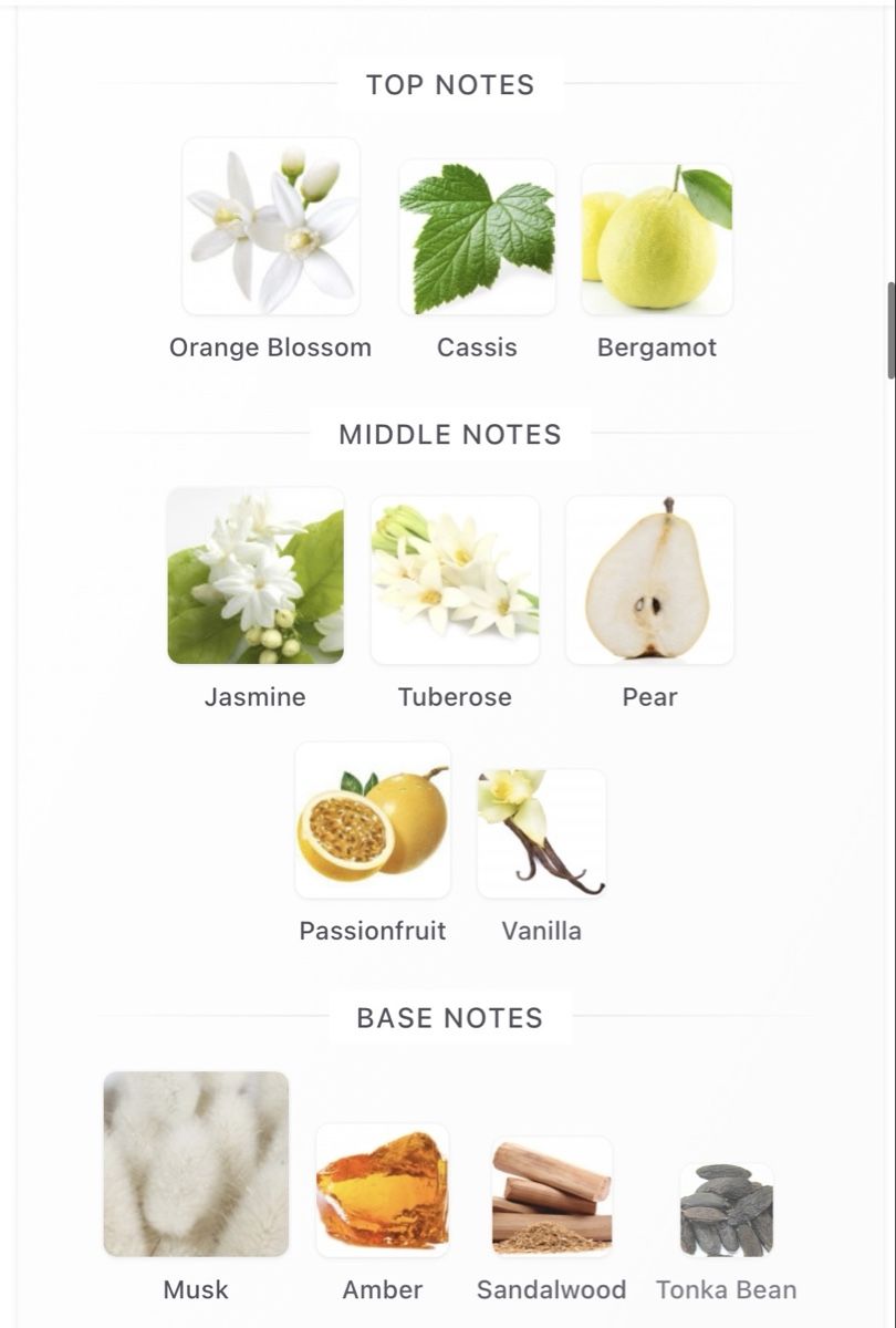 Profumi & Eau de Toilette: NICHE - 4x EDP by Anomalia – Nuovo (secondo la descrizione) da Genève venduto da StaceyH 4