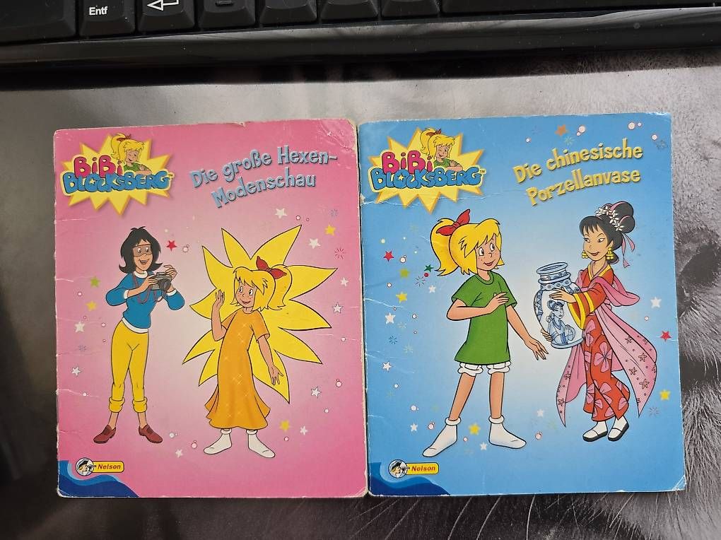 Libri: 6 Pixi Büchlein Set 4 – Usato da Au SG venduto da nme82 2