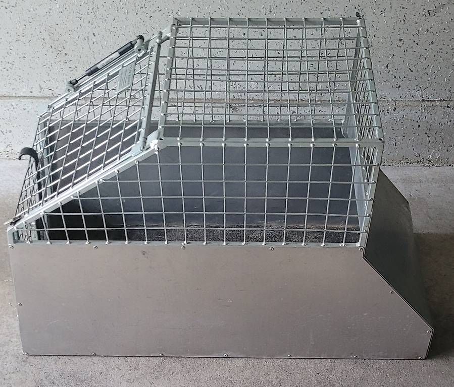 Käfige, Transport & Sicherheit: Hundebox – Gebraucht aus Breitenbach von hei_xhx5 2