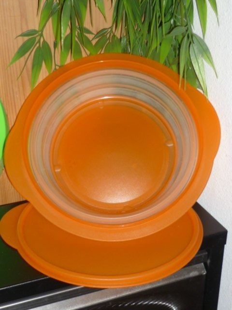 Tupperware Contenitori & Simili: TUPPERWARE 1,5 L. – Usato da St.Gallen venduto da Anso 1