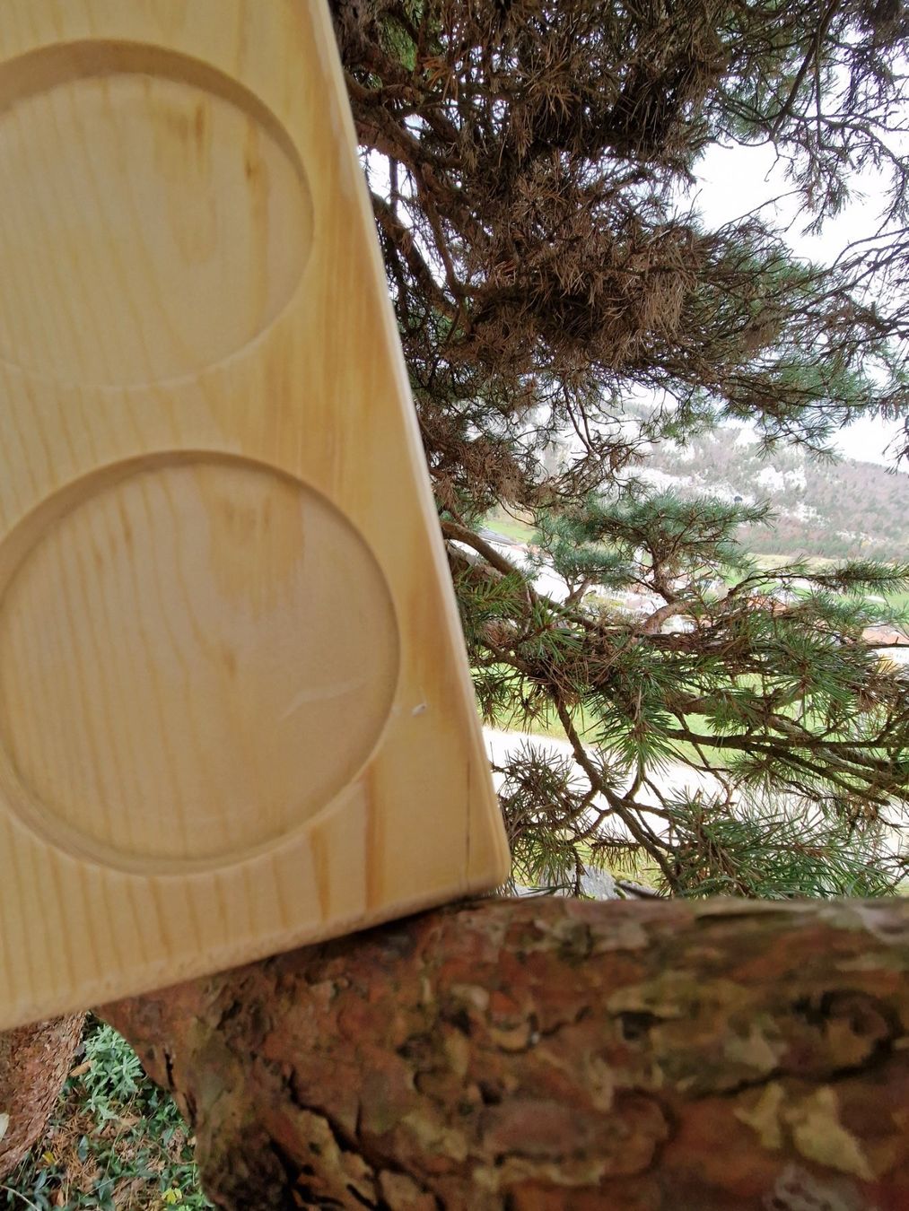 Servierplatten: Brett für 4 Gläser oder 4 Schälchen /Apéro-Servier-Brett – Gebraucht aus Siblingen von Vany_McDougall 7