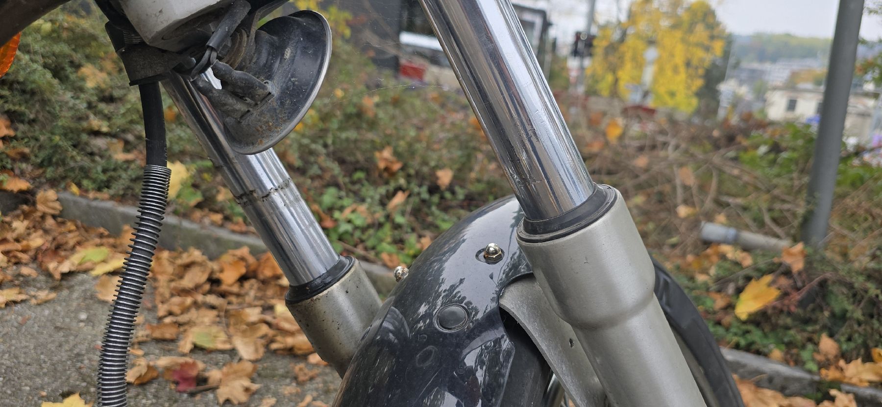 Suzuki Chopper: Suzuki LS650 Savage – Defekt aus Dachsen von Caddy94 8