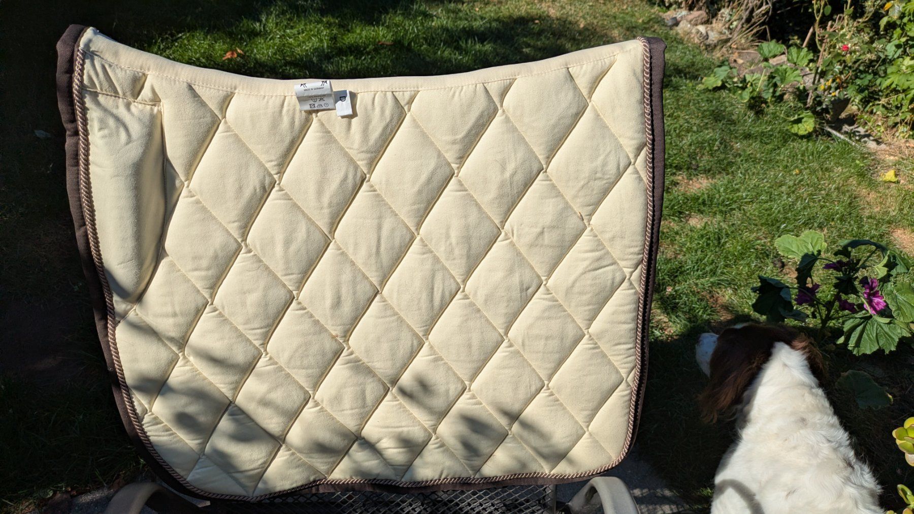 Coperte & Accessori: Dressurschabracke – Usato da Adliswil venduto da Marfraad