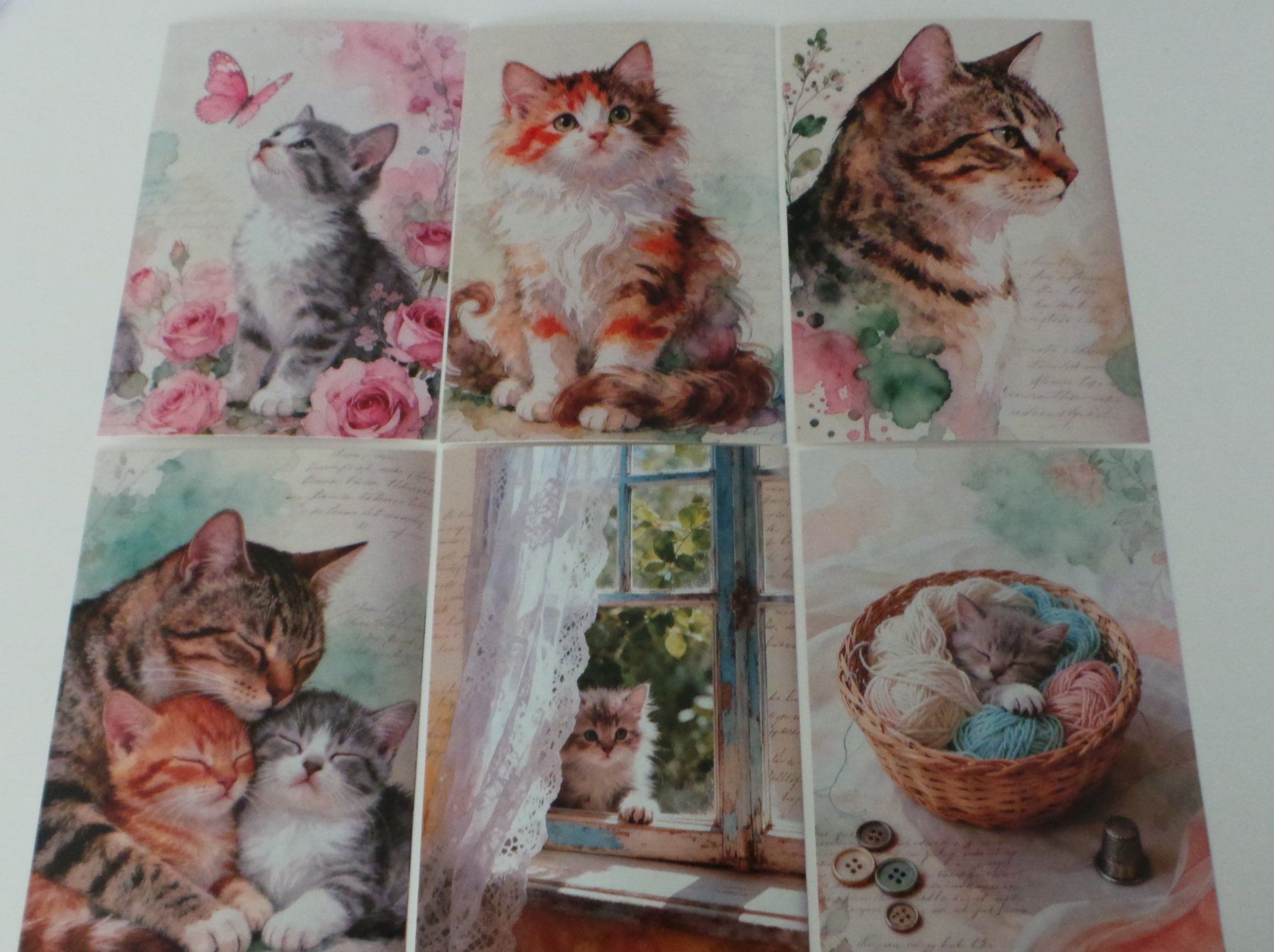 Ansichtskarten: 6 Postkarten mit süssem Katzenmotiv – Neu (gemäss Beschreibung) aus Flamatt von Tattoo18