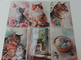 6 Postkarten mit süssem Katzenmotiv
