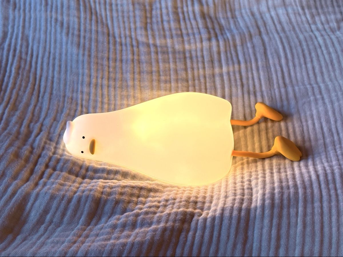 Lampade: Nightlight Laying Duck  – Usato da Jona venduto da froggitto 5