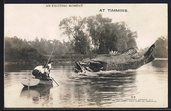 Cartes postales: Timmins, Männer im Ruderboot mit riesig – D'occasion à Berlin par bartko-reher