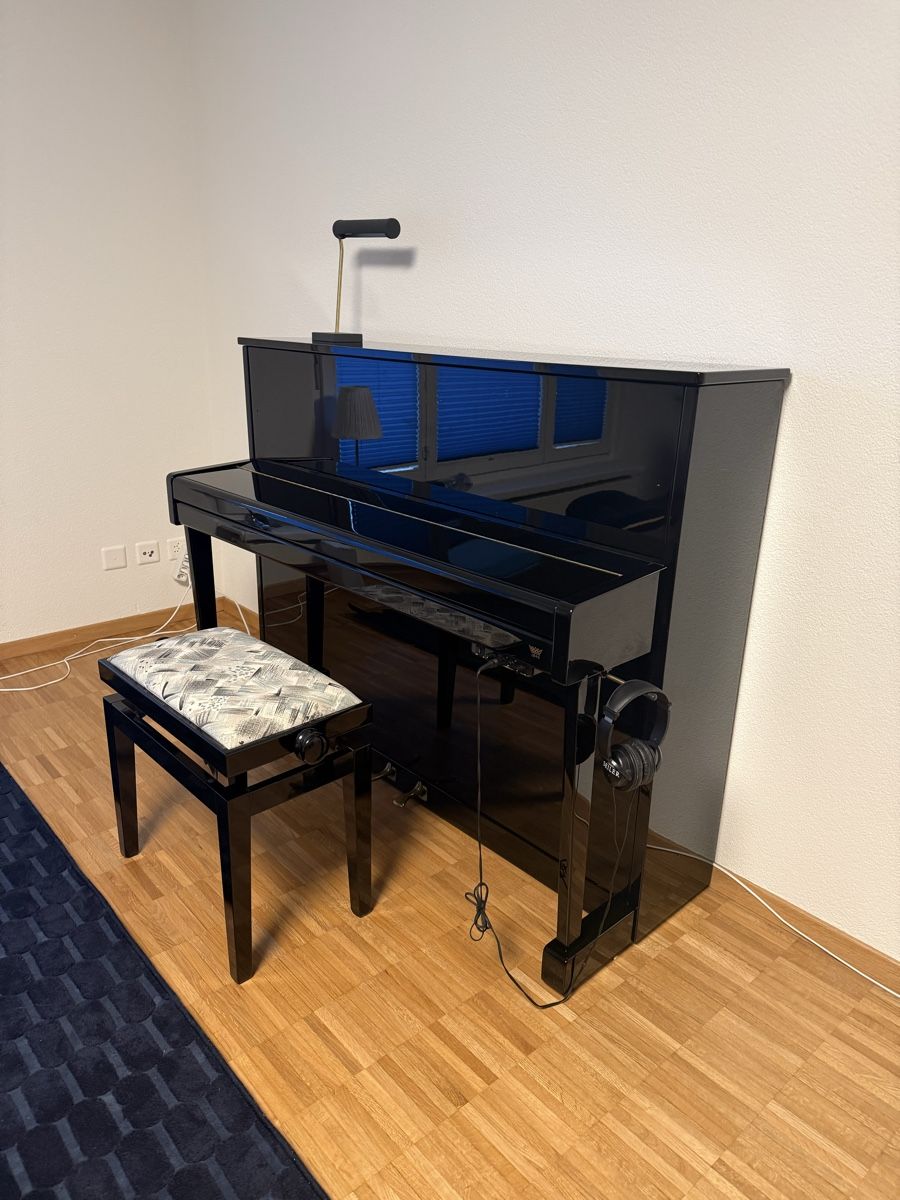 Strumenti musicali: Schwarzes Klavier der Marke Seiler – Usato da Schwyz venduto da hubert0206