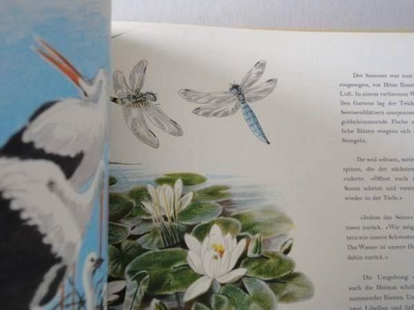 Libri: Familie Langbein - 1951 – Usato da Chur venduto da omonia 6