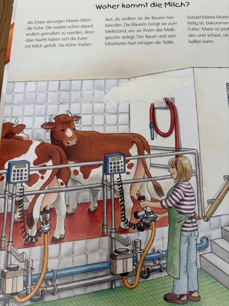Libri: Tiptoi – Usato da Gachnang venduto da Skyjumper 2