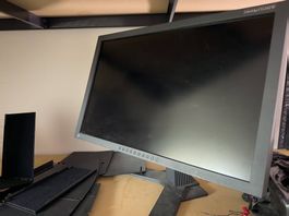 EIZO ColorEdge CG242W Monitor gebraucht