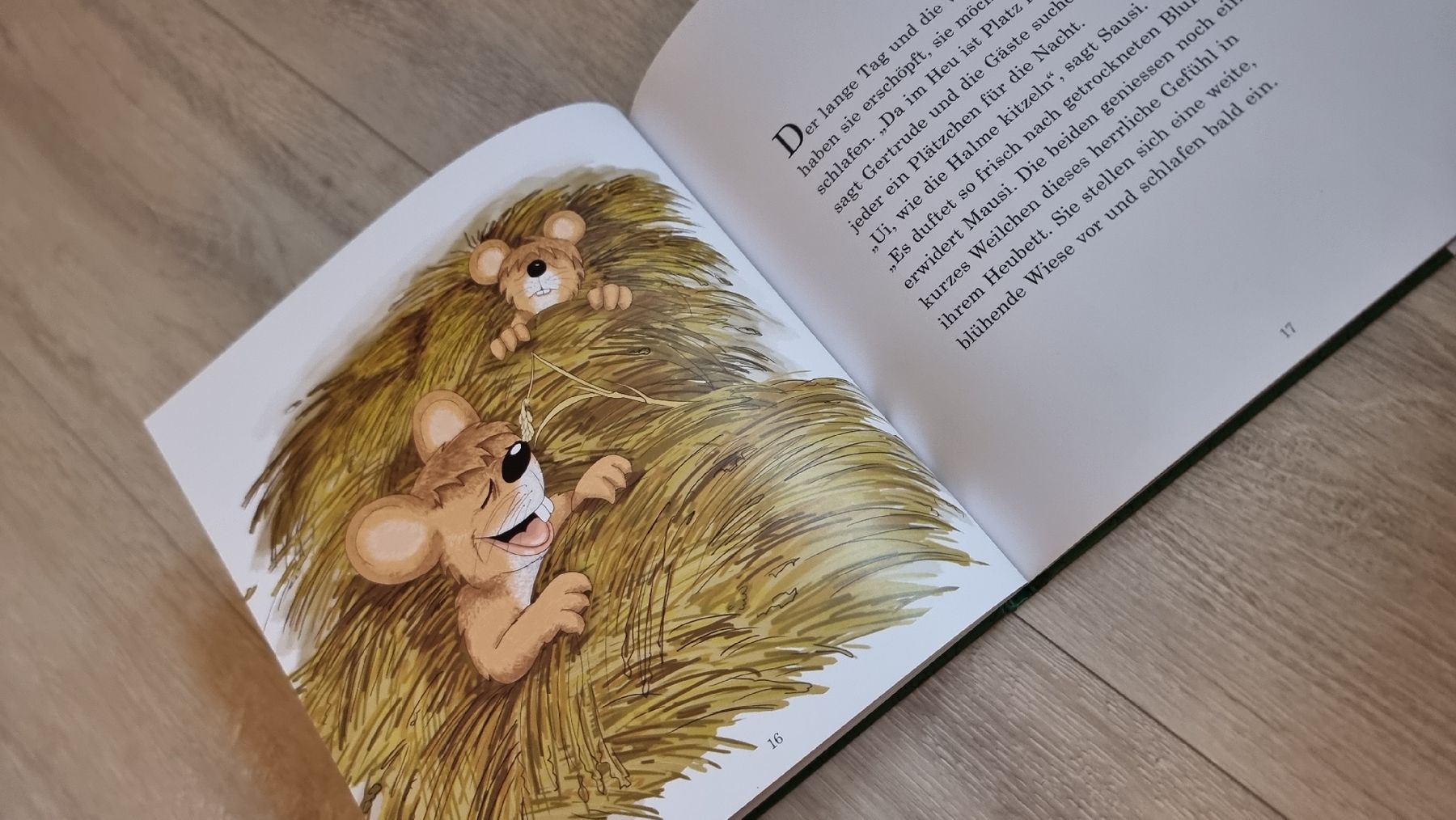 Bücher: Märchenbuch: Mux der Maulwurf - Endlich Ferien! – Gebraucht aus Wigoltingen von Zuckerfee84 4