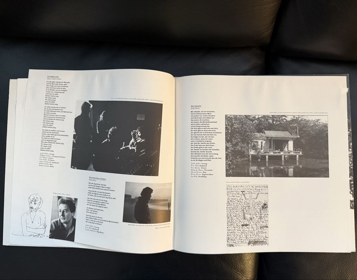 Dischi in vinile: Andrè Heller - Stimmenhören - DMM Pressung Schallplatte – Usato da Goldach venduto da Messerguru 8