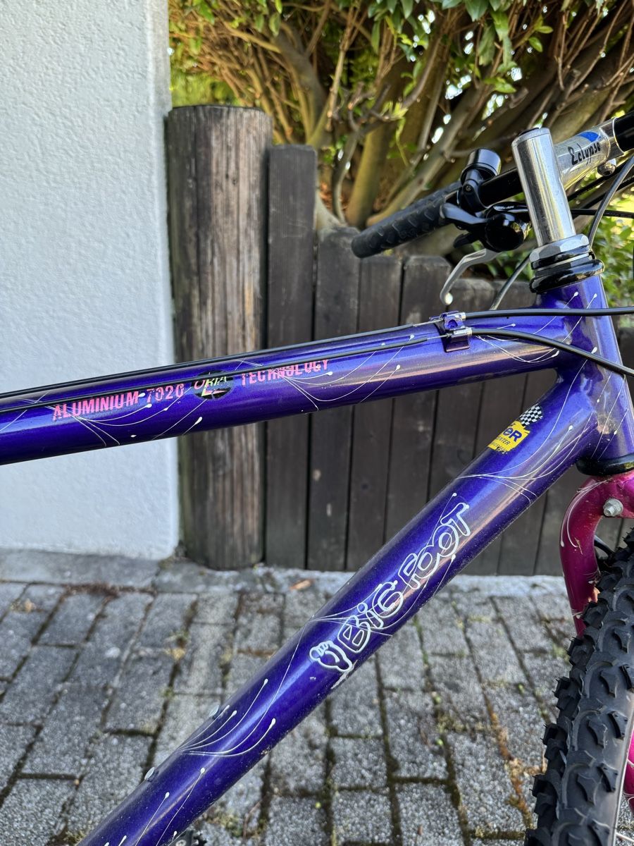 Velos: Original BigFoot Fahrrad – Gebraucht aus Oftringen von passte 1