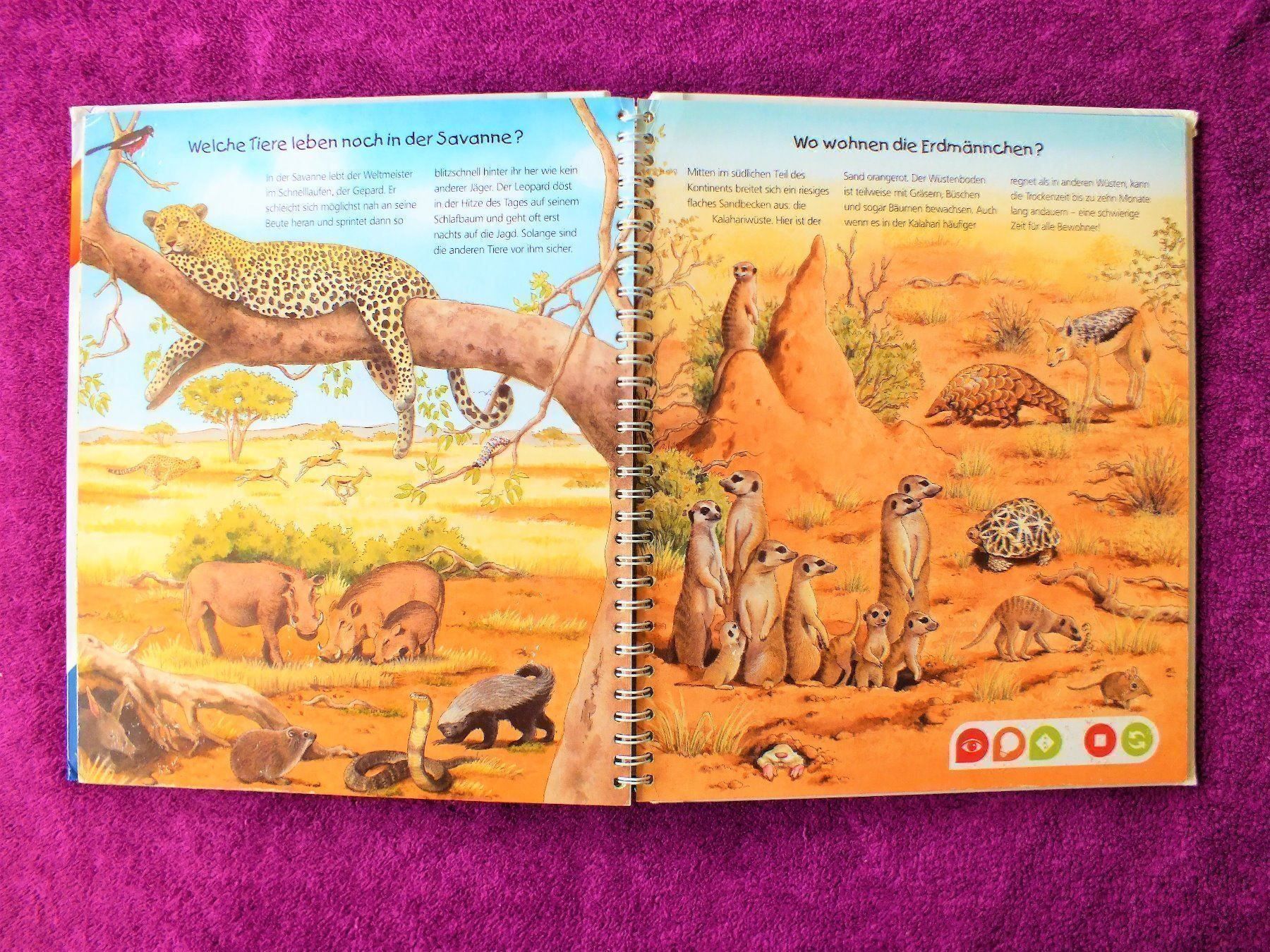Libri: tiptoi Buch - Endecke die Tiere Afrikas – Usato da Müllheim Dorf venduto da Seeeule01 5