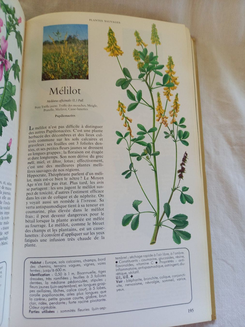 Libri: Secrets et vertus des plantes médicinales, Reader's Digest – Usato da Rossens FR venduto da Souris1 9