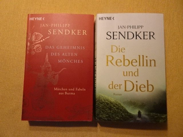 Libri: 8 Titel von Jan Philipp Sendker – Usato da Oberweningen venduto da Gerini 8