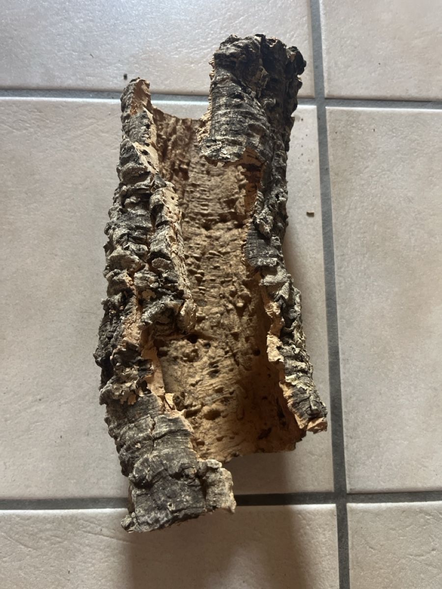 Articles en bois: Rinde – D'occasion à Glarus par chr_s287 1
