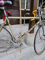 Rennvelo von Campagnolo