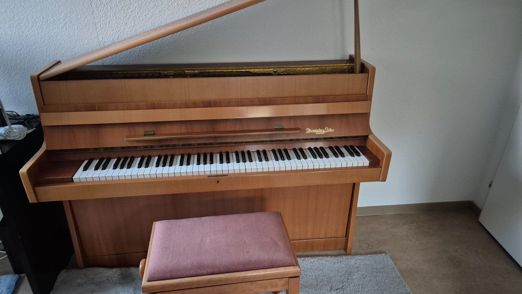 Strumenti musicali: Steingraeber Bayreuth Klavier, – Usato da Schaffhausen venduto da Lenas19