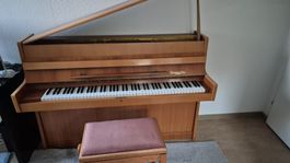 Steingraeber Bayreuth Klavier,