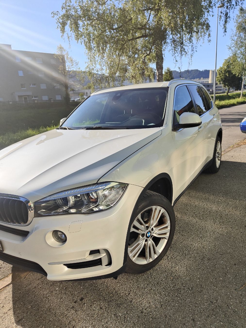 BMW Automobili: BMW X5 2.0 Diesel – Usato da Zürich venduto da ajt_bk2h 1