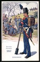 Der Schweizer Soldat im Lauf der Jahrhun