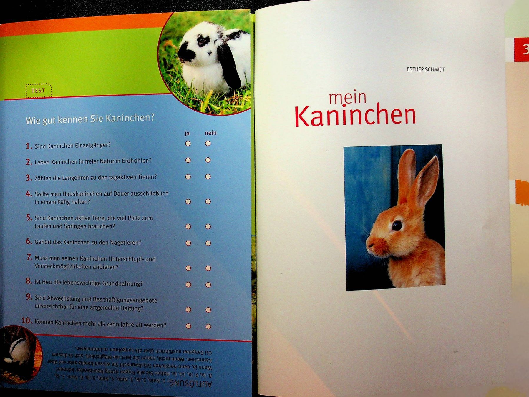 Bücher: Mein Kaninchen / Esther Schmid – Gebraucht aus Reitnau von Zaomir 2