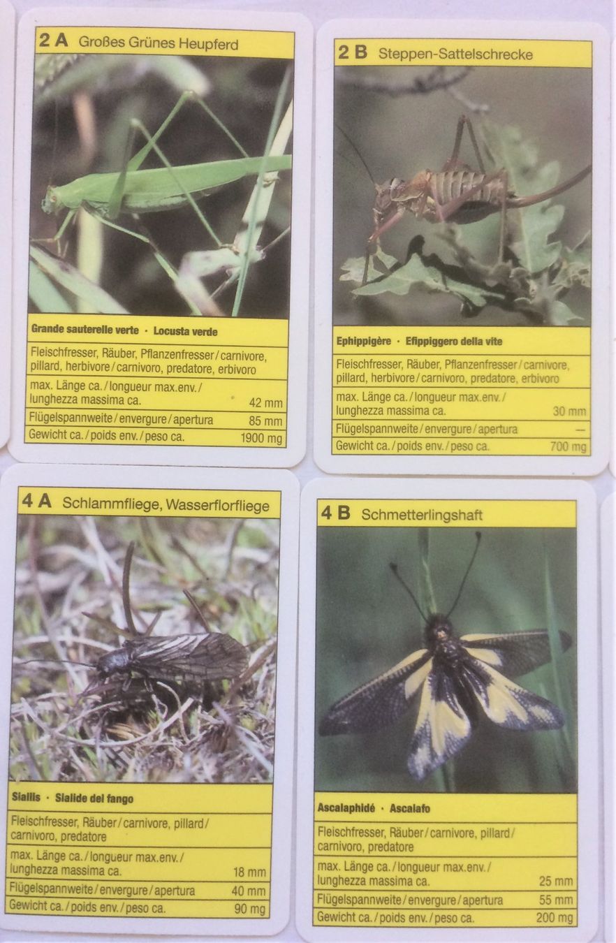 Spiele: Quartett - Super Top - Insekten - Carlit – Gebraucht aus Schaffhausen von durruti 2