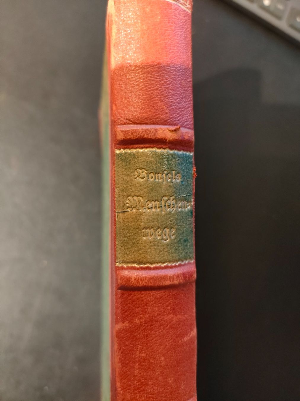 Libri: Buch: Waldemar Bonsels - Menschenwege - 1923 – Usato da Wiesendangen venduto da s_er 1