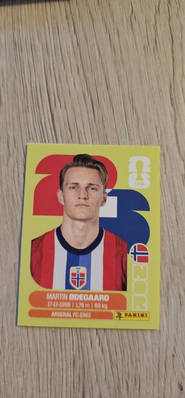 Panini Cartes à collectionner: Fifa World Cup Panini NOR 10 – Neuf avec emballage d'origine à Biel VS par volcom8702