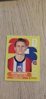 Fifa World Cup Panini NOR 10