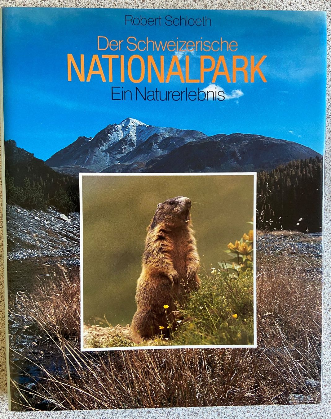 Libri: Buch Paket Tiere – Usato da Böckten venduto da Hansi36 1