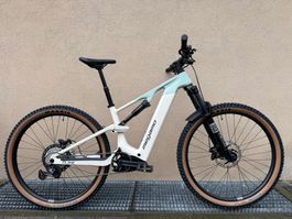 Megamo Flame 29" E-MTB, Grösse S - Top Zustand für Trails!
