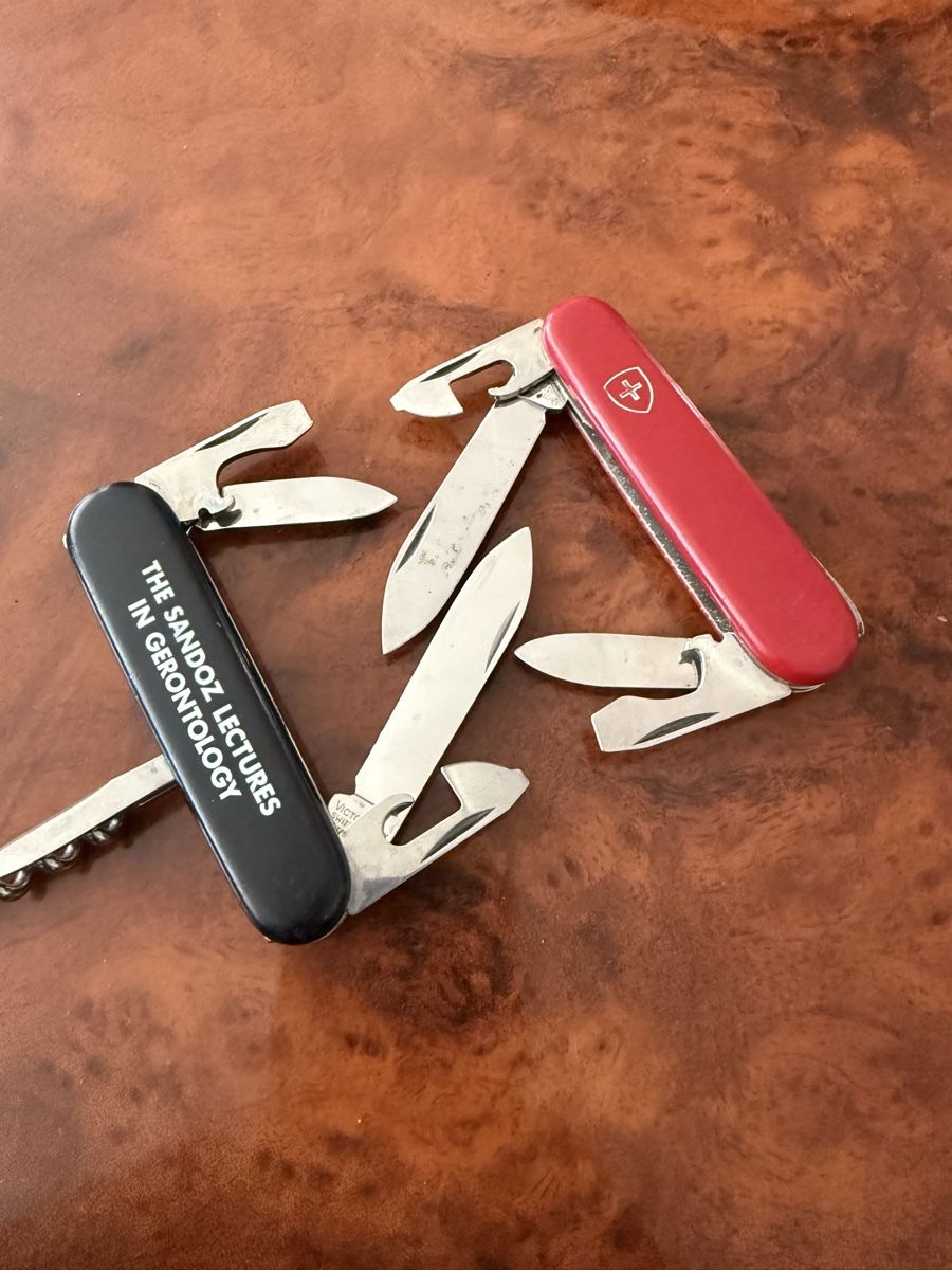 Victorinox Couteaux de poche: 2 Victorinox  – D'occasion à Pratteln par belita03 4