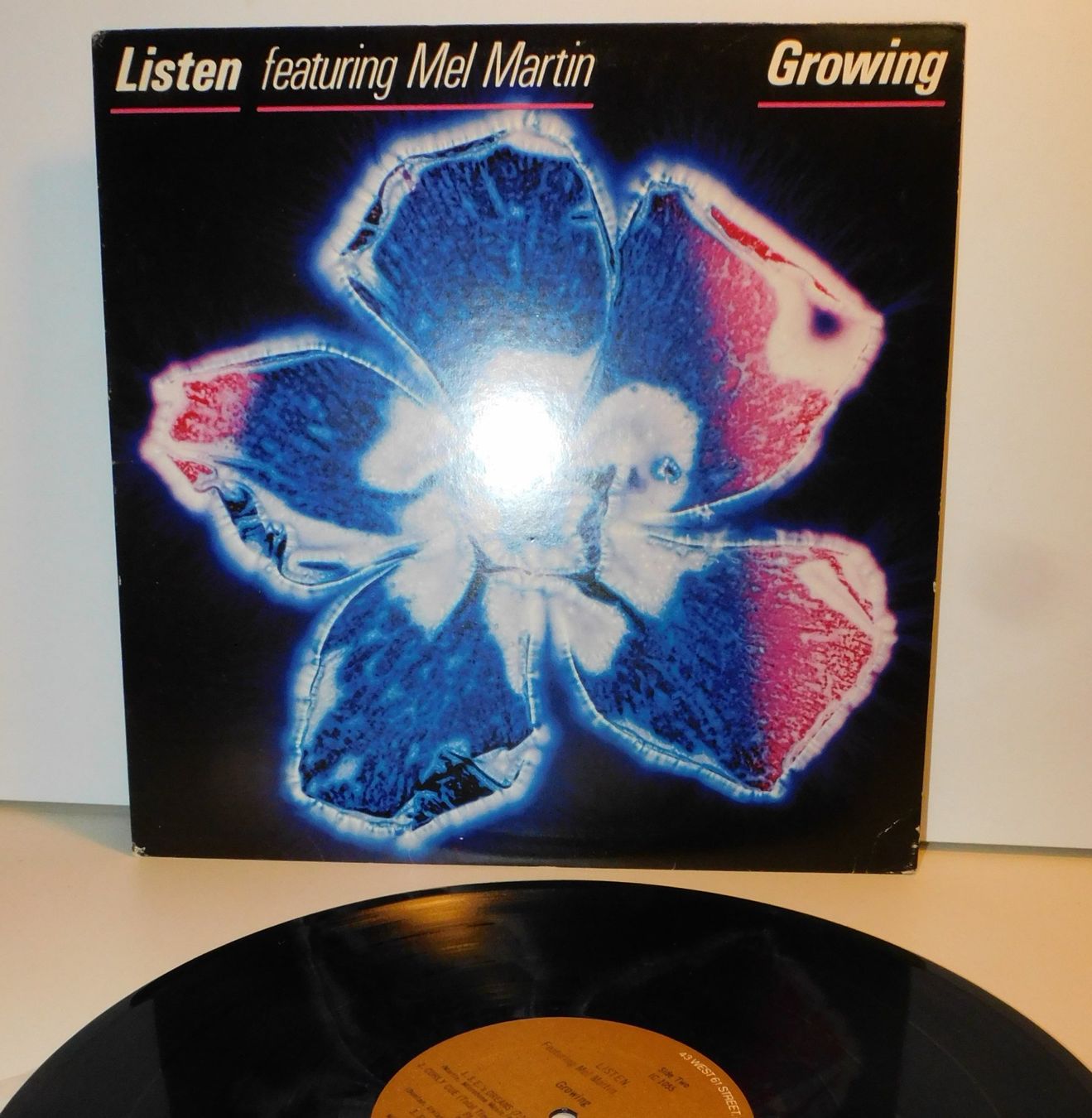 Dischi in vinile: Lp Schallplatte  - Listen featuring Mel Martin 1978 – Usato da Sursee venduto da 76