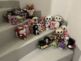 34 Glubschis 