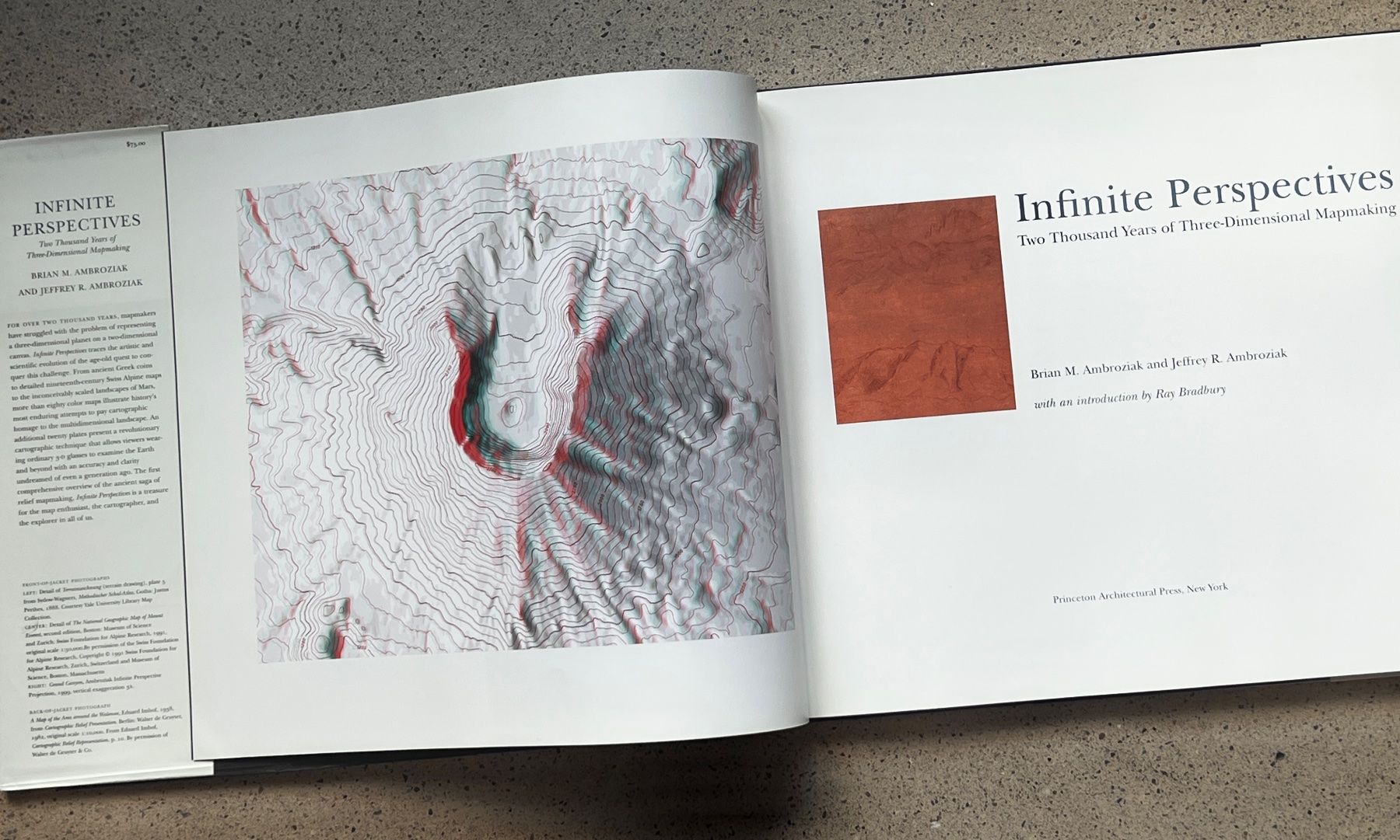 Libri: Infinite Perspectives Mapmaking – Usato da Zürich venduto da Octopus-275 2