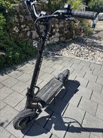 Teverun blade mini ultra (tausch möglich)