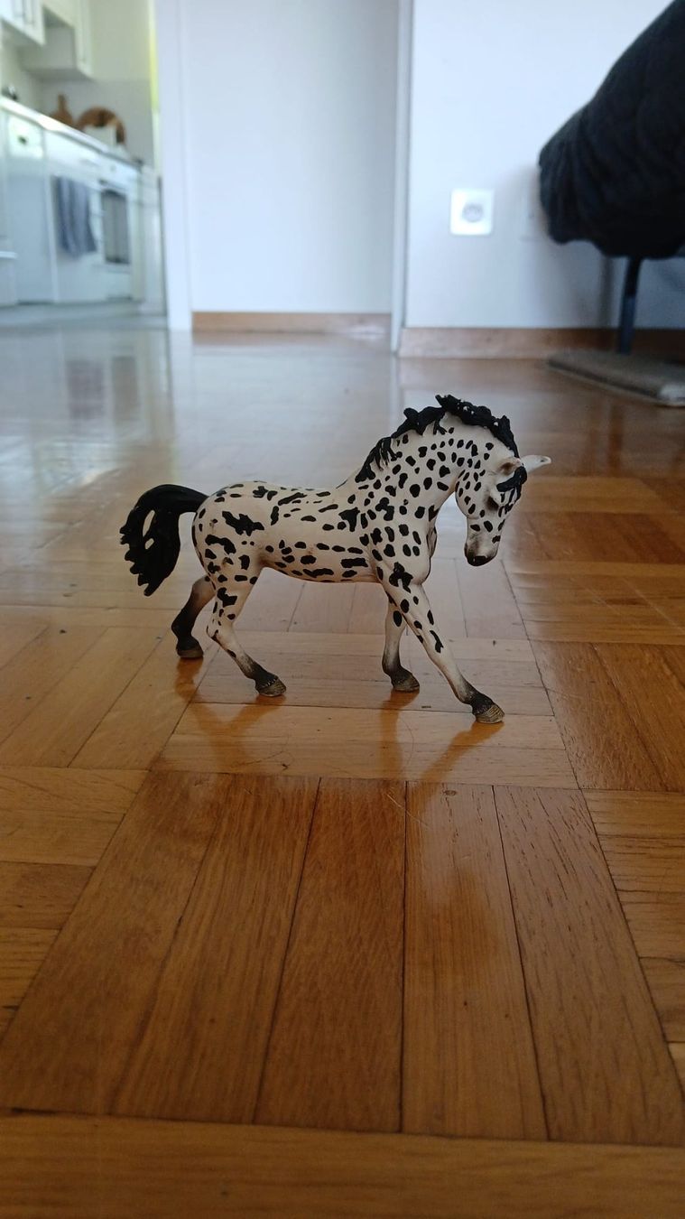 Schleich Giocattoli: Schleichfiguren – Usato da würenlos venduto da Jjjm 4