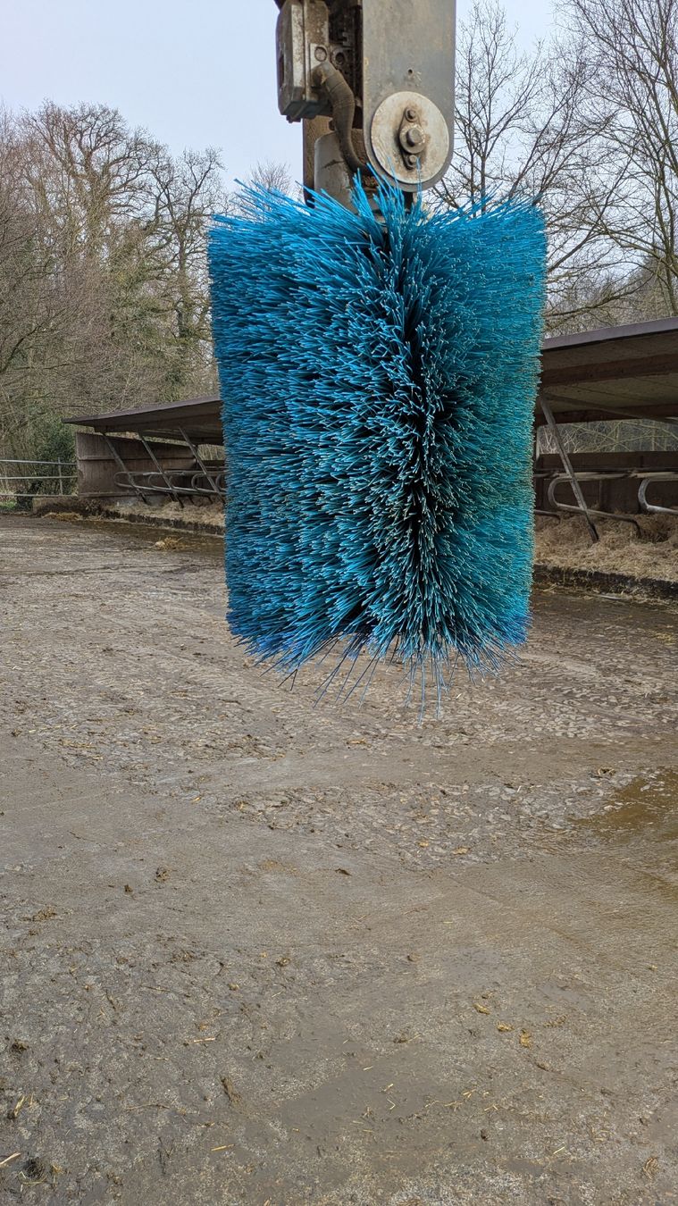 Delaval Sonstige Stalleinrichtungen: Delaval bürste gebraucht, nur blaue Borsten – Gebraucht aus Emmen von Tyupi