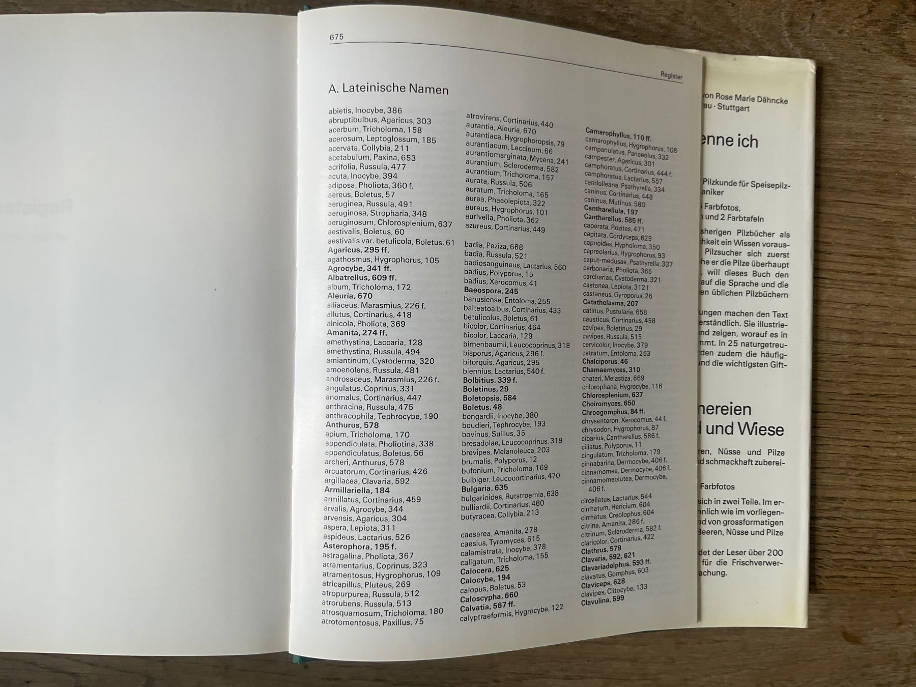 Bücher: Pilzbuch 700 Pilze Buch – Gebraucht aus Aarau von Galaktos 5